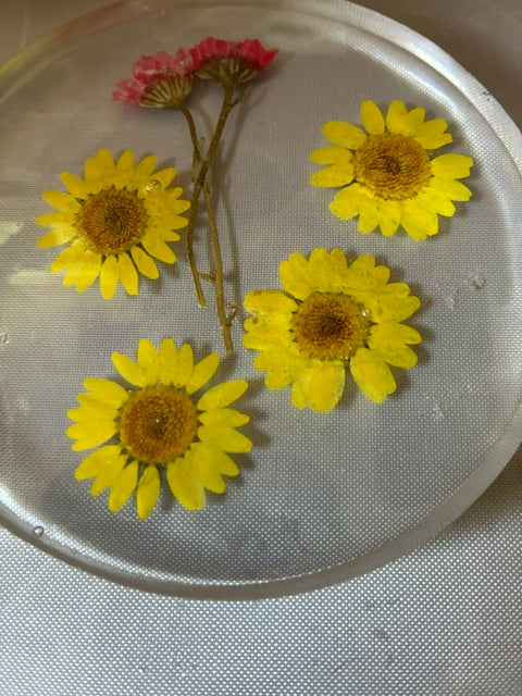 The Floral Coasters